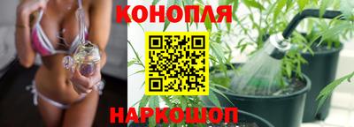 шишки Лесосибирск